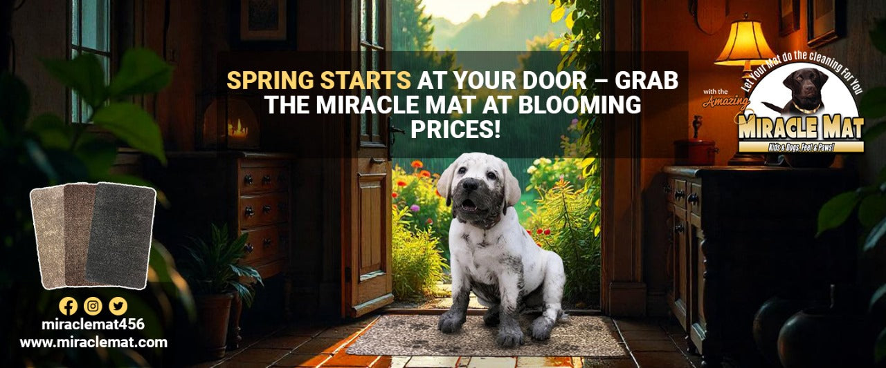 Best Doormat for Dogs and Muddy Paws
